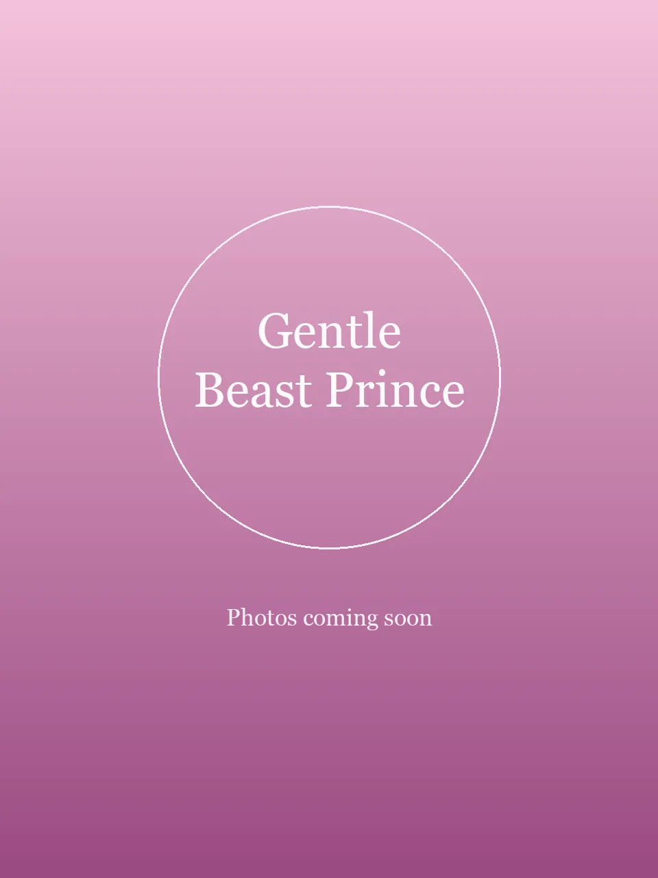 Gentle Beast Prince party character in Houston