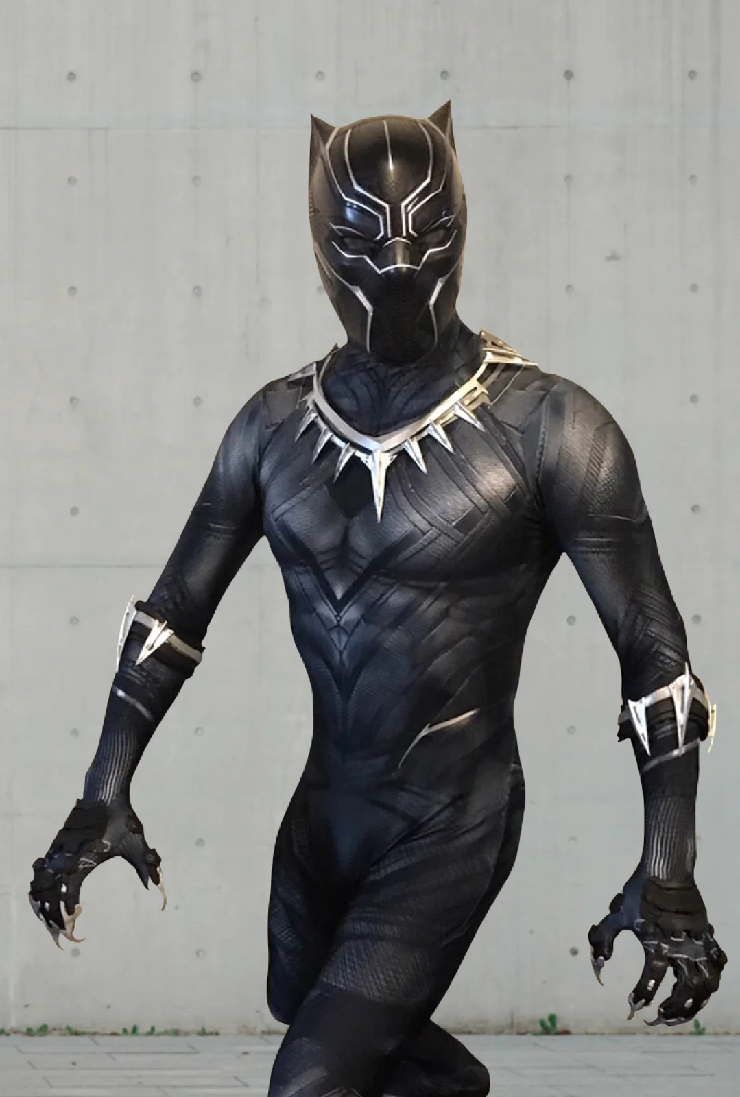 Panther Hero party character in Houston