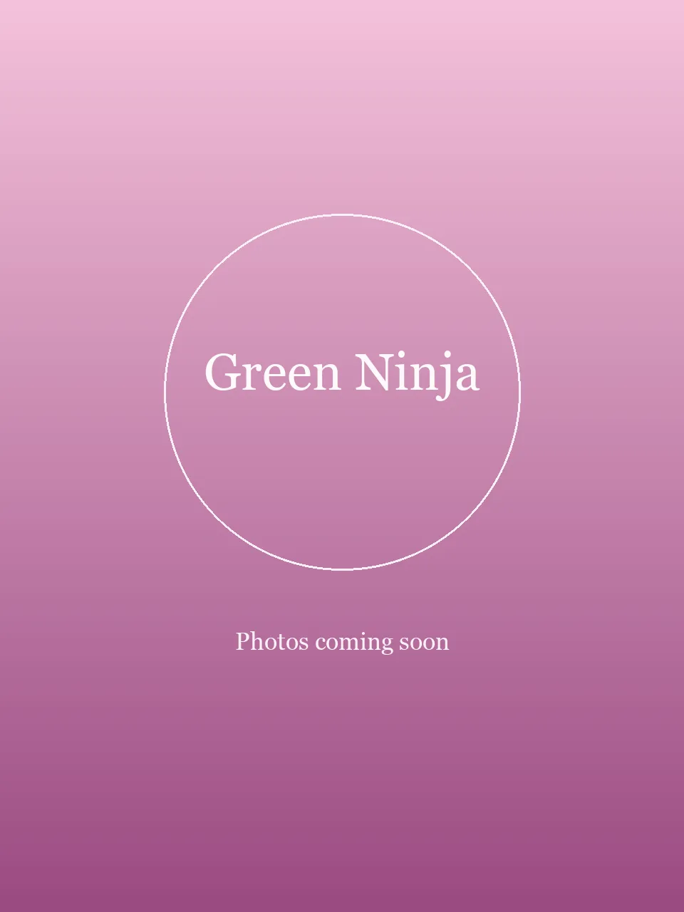Green Ninja party character in Houston