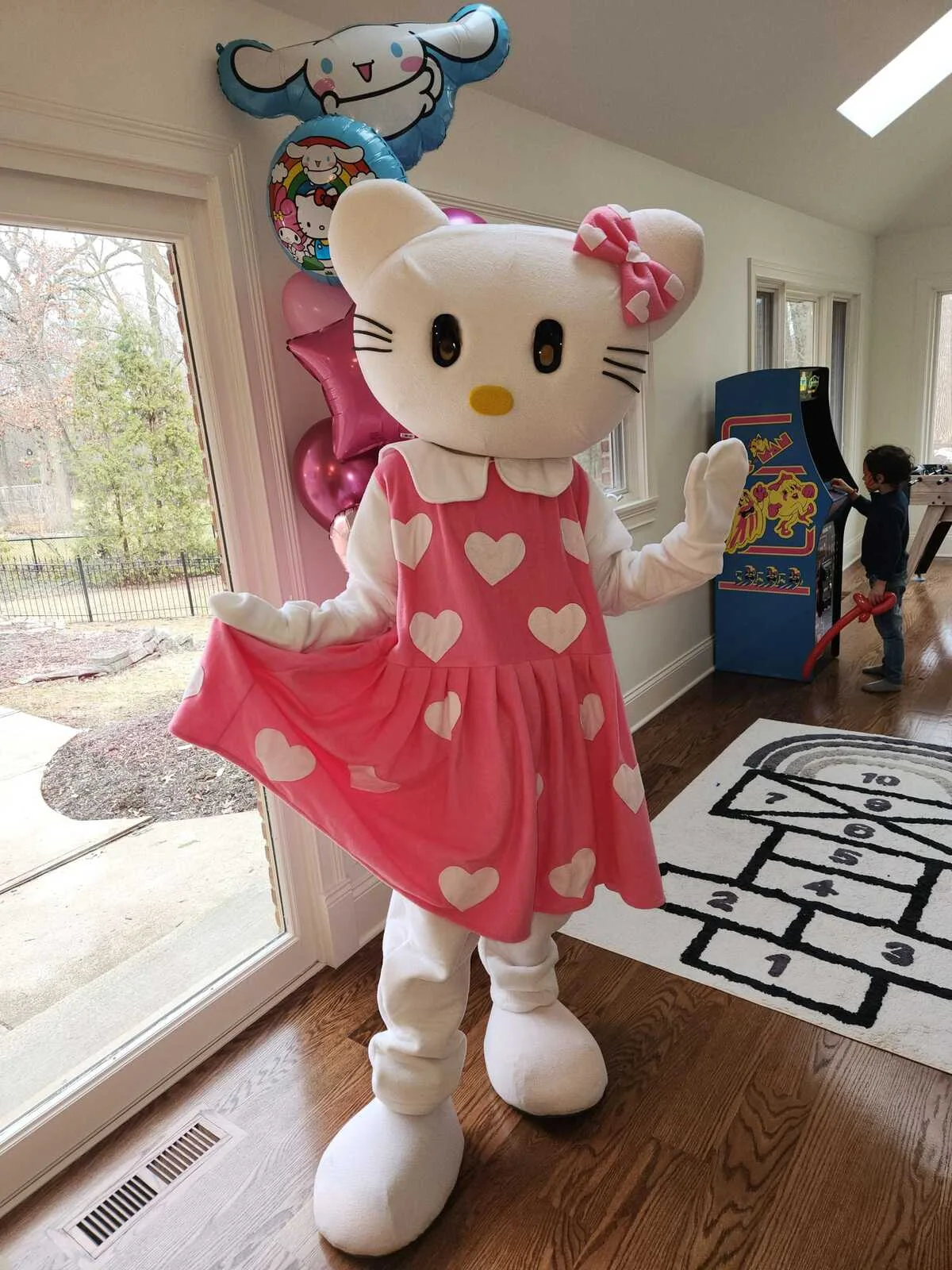 Princess Kitty party character in Houston