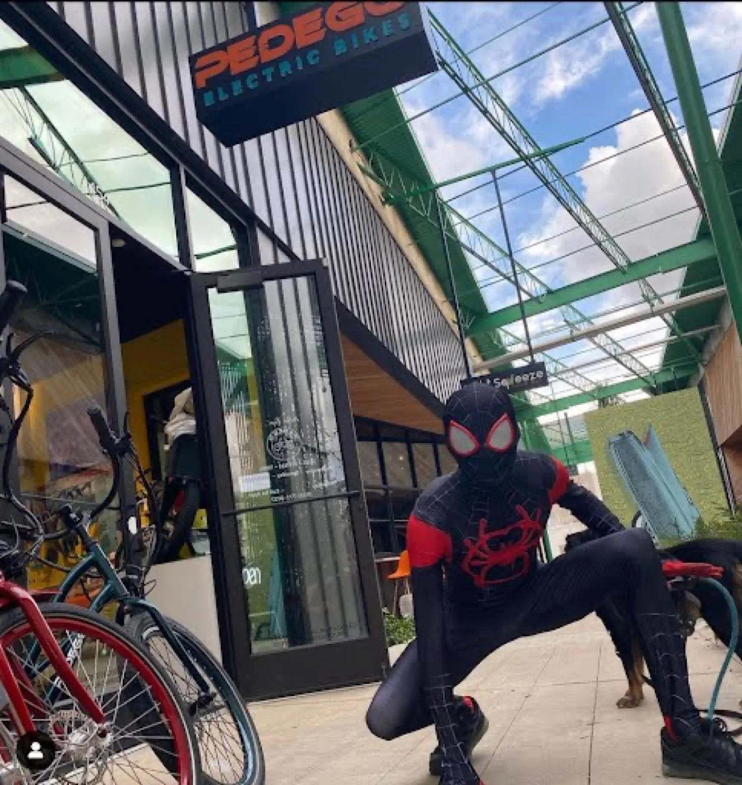 Masked Web Hero party character in Houston
