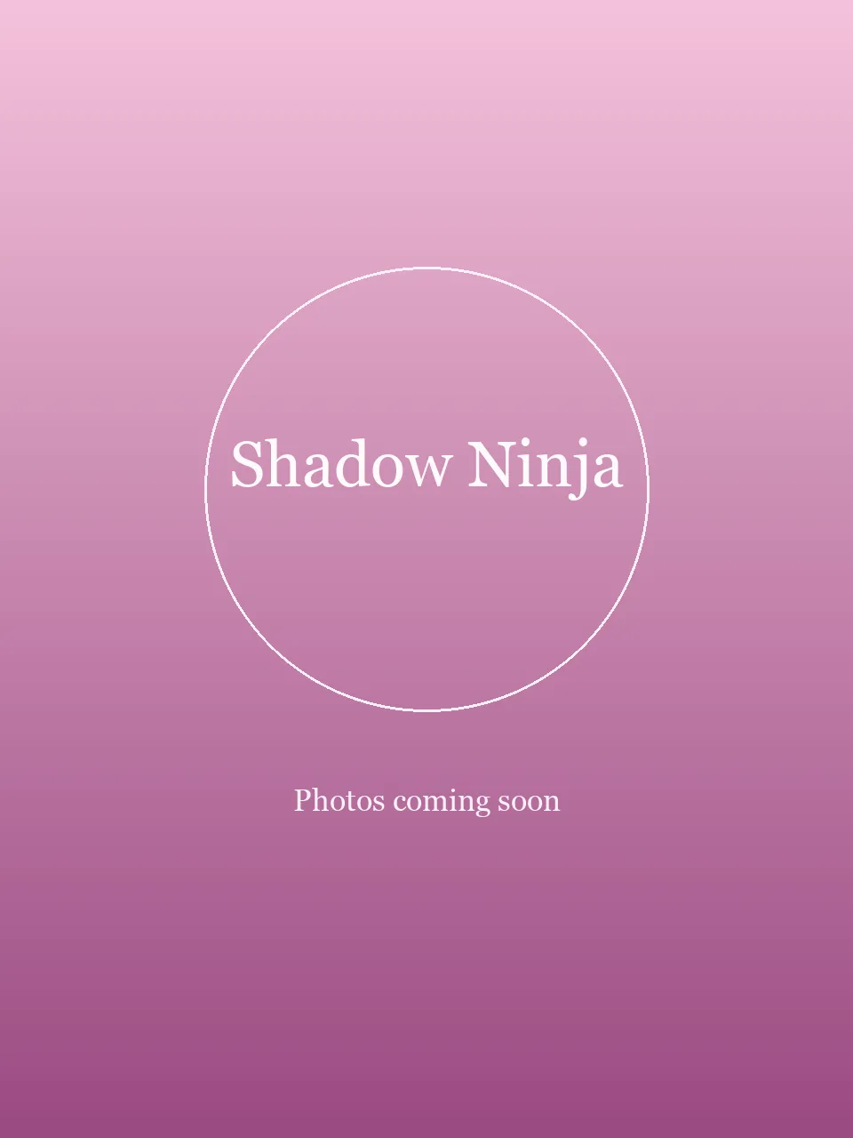 Shadow Ninja party character in Houston