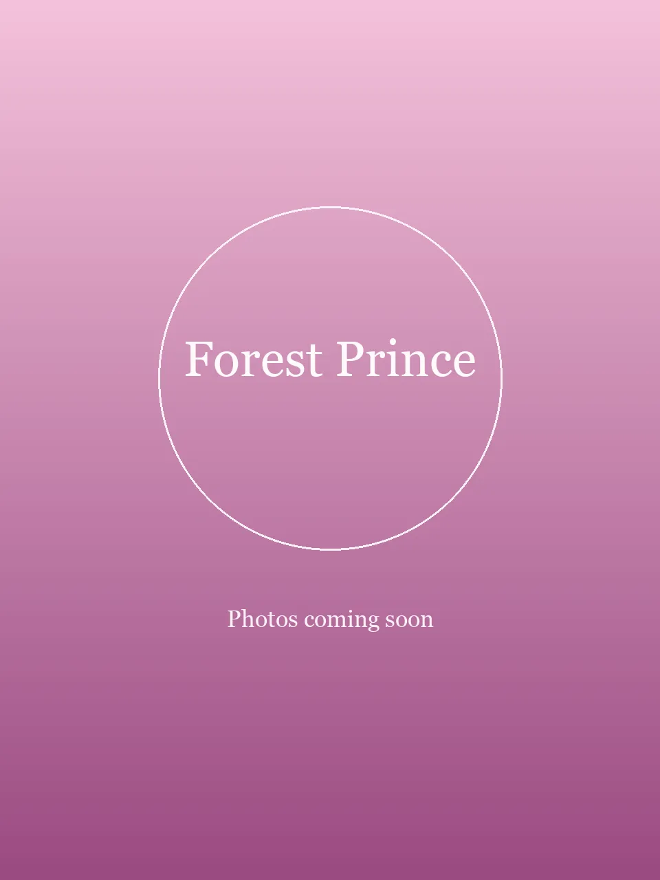 Forest Prince party character in Houston