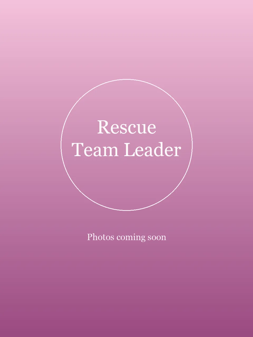 Rescue Team Leader party character in Houston